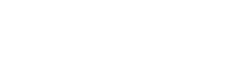 Vendivo
